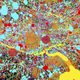 fruit fly larva nervous system